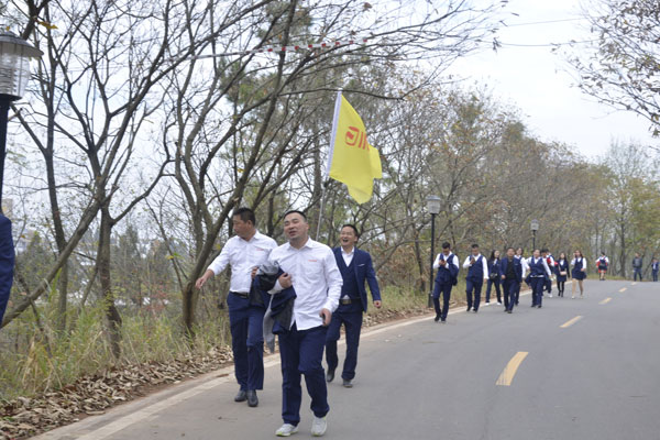 陽光行、快樂游